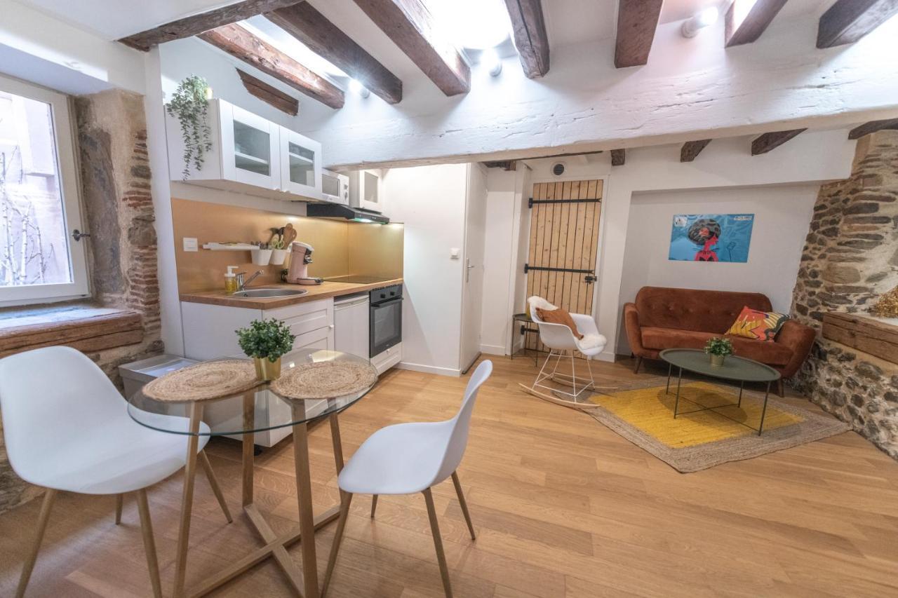 Cosylocation - Chaleureux - Hypercentre Vienne (Isere)